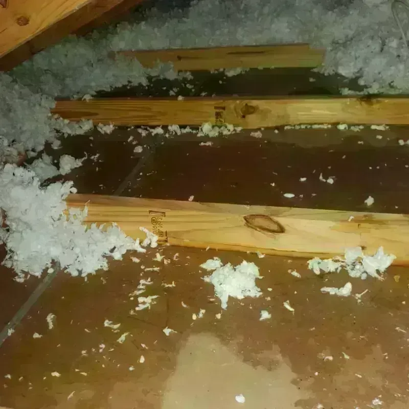 Attic Water Damage in Reinholds, PA